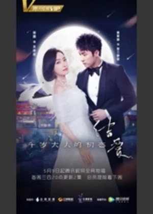 Ver The Love Knot: His Excellency's First Love online - Dorama de C-Drama en español HD