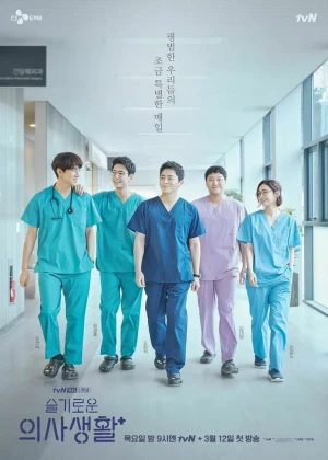 Ver Hospital Playlist online - Dorama de Médico en español HD