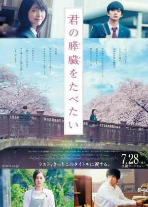 Ver Kimi no Suizo wo Tabetai Live Action online - Dorama de Escolar en español HD
