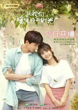 Ver Put Your Head on My Shoulder online - Dorama de C-Drama en español HD