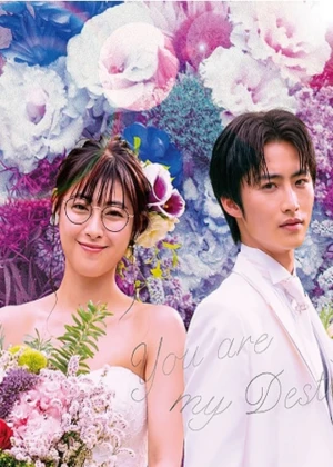 Ver Unmei Kara Hajimaru Koi (You Are My Destiny) online - Dorama de J-Drama en español HD