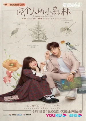 Ver A Romance of the Little Forest online - Dorama de C-Drama en español HD