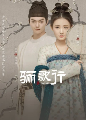 Ver Court Lady online - Dorama de Comedia en español HD