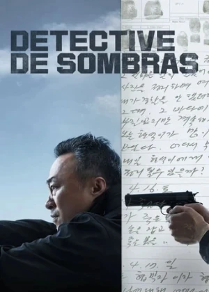 Ver Detective de sombras Latino online - Dorama de Acción en español HD