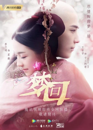 Ver Dreaming Back to the Qing Dynasty online - Dorama de Histórico en español HD