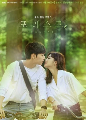 Ver Forest online - Dorama de K-Drama en español HD