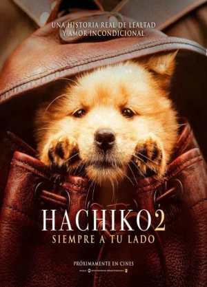 Ver Hachiko 2: Siempre a tu lado Latino online - Dorama de C-Drama en español HD