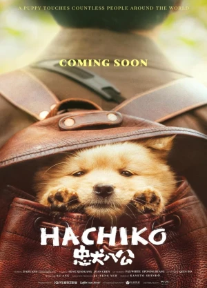 Ver Hachiko: Una Historia Verdadera online - Dorama de C-Drama en español HD