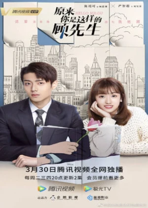 Ver Hello Mr. Gu online - Dorama de Negocios en español HD