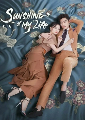 Ver Sunshine of My Life online - Dorama de C-Drama en español HD