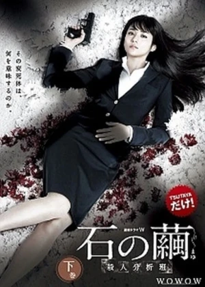 Ver Ishi no Mayu online - Dorama de Misterio en español HD