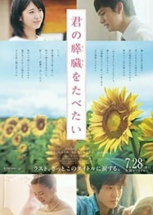 Ver Kimi no Suizo wo Tabetai online - Dorama de Drama en español HD