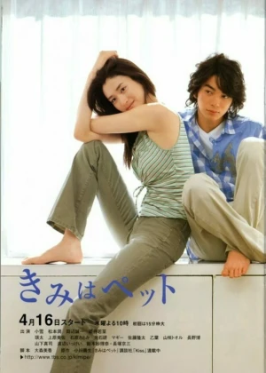 Ver Kimi Wa Petto online - Dorama de Comedia en español HD