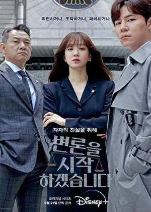 Ver May It Please the Court online - Dorama de Misterio en español HD