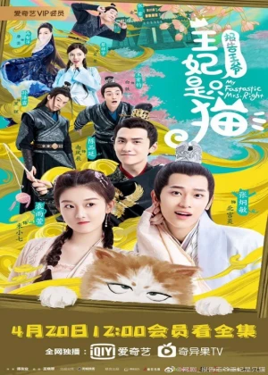 Ver My Fantastic Mrs Right online - Dorama de Histórico en español HD