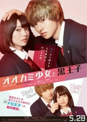 Ver Ookami Shoujo To Kuro Ouji online - Dorama de Escolar en español HD
