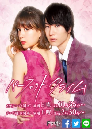 Ver Perfect Crime online - Dorama de J-Drama en español HD