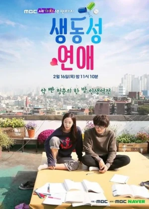 Ver Romance Full of Life online - Dorama de Fantasia en español HD