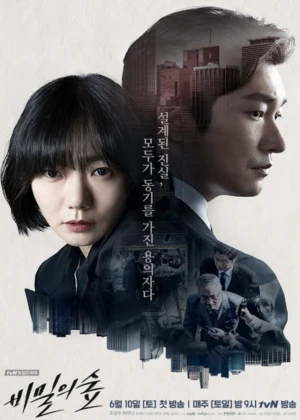 Ver Secret Forest online - Dorama de Misterio en español HD