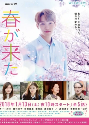 Ver Spring Has Come online - Dorama de J-Drama en español HD
