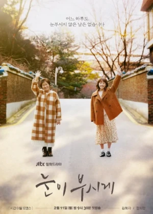 Ver The Light in Your Eyes online - Dorama de Time Travel en español HD