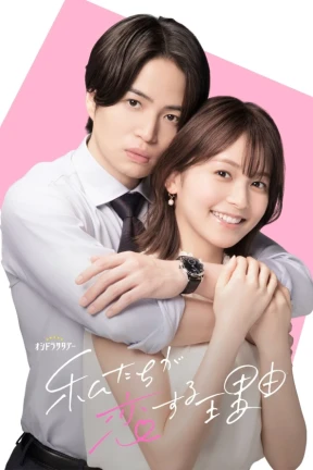 Ver The Reason We Fall In Love online - Dorama en español HD