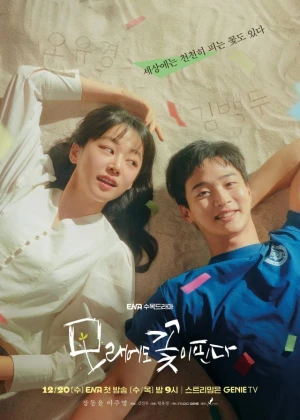 The Sand Flower - Ver drama completo online en español HD