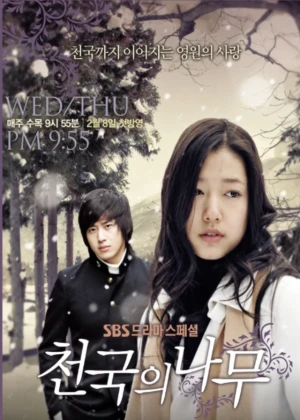 Tree of Heaven - Ver drama completo online en español HD