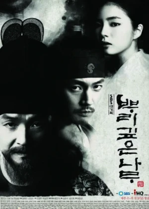 Ver Tree with Deep Roots online - Dorama de Histórico en español HD