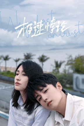 We Go Fast On Trust - Ver drama completo online en español HD