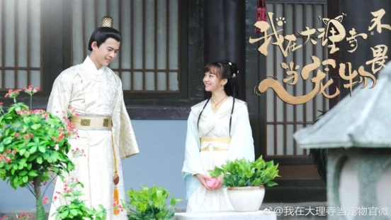Ver I’m a Pet at Dali Temple episodio 1 online