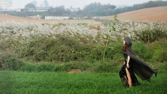 Ver Fortuneteller's Secret Recipe episodio 1 online