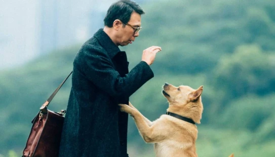Ver Hachiko: Una Historia Verdadera episodio 1 online