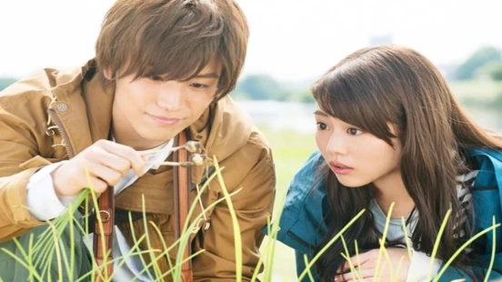 Shokubutsu Zukan - Portada de fondo del drama