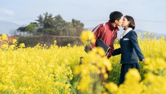 Ver When Life Gives You Tangerines episodio 1 online